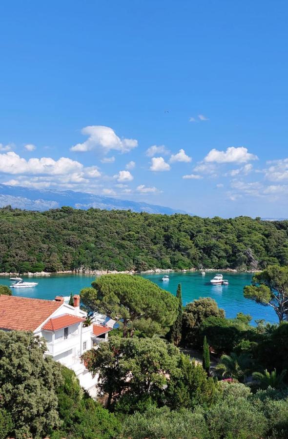 Milijana Apartments Rab Раб Стая снимка